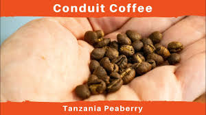 100% pure tanzanian peaberry coffee from the slopes of mount kilimanjaro that is wonderfully acidic, has a rich body, an intense flavor and a fragrant aroma coupled with mellow winy overtones. Tanzania Peaberry Conduit Coffee Youtube