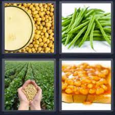 Este sitio tiene todas las soluciones que sabemos sobre este juego. 4 Fotos 1 Palabra Garbanzos 4fotos 1palabra Com