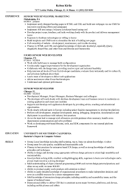 If we are given hints about the content matter, wouldn't it become easier? Senior Web Developer Resume Samples Velvet Jobs