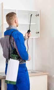 We know that the safety of your home is important to you, so we protect it by removing pests from your residential or commercial property. Pest Control Ontario York Region Peel Region Affordable Pest Extermination Services Near Me