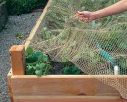 Anti Bird Netting For Garden Hoeksteunen Iets Hoger Raised Garden Beds Diy Diy Raised Garden Raised Garden