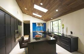 10 of the best kitchen window treatments; Kitchen Skylight Types Sizes Design Ideas Designing Idea