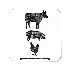 Animals Lives Matter Square Sticker Vegan Personalize Diy Customize Unique Animals Stickers Pig