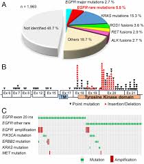 Molecular Dynamics Simulation Guided Drug Sensitivity