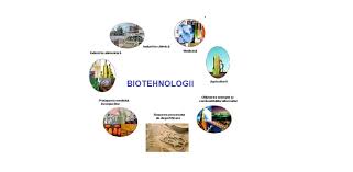 Request pdf | on jul 23, 2018, adriana dabija and others published biotehnologii în industria alimentară fermentativă. Biotehnologii Agricole Facultatea De Bioingineria Resurselor Animaliere
