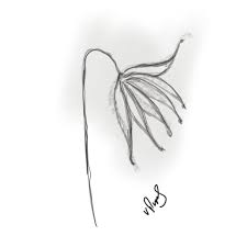 Maybe you would like to learn more about one of these? Simple Wilted Flower Drawing Novocom Top