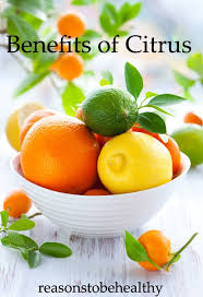 Http Globalehp Org 2013 08 28 Vitamin C And Allergy Elimination Fruit Photography Fresh Fruit Recipes Citrus Fruit