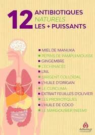 Pin On Sante