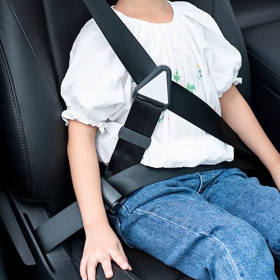 car seat belt reminder switch