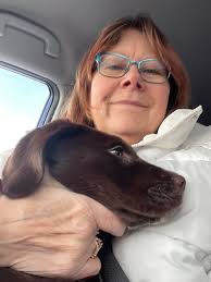 Found! Thank you everyone! Puppy has been found.