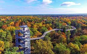 Sind die beelitzer heilstätten frei zugänglich? Baumkronenpfad Baum Zeit Flaming Beelitz Heilstatten
