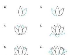 Lotus flower drawing easy for kids. Drawing Lotus Flower Drawing Easy Step By Step