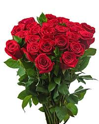 Cherry blossom flower sakura flower pink flower pink flower bouquet bouquet of roses flower crown flower plants flower border lotus flower flower. Bouquet Packing Red Rose Flower Rs 400 Bunch Uv Flowers And Exports Id 21155190755