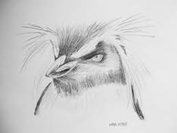 Sketches For 2014, Number 4 — Northern Rockhopper Penguin | Art Fn