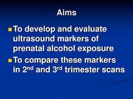 Evaluation Of Early Markers Of Prenatal Alcohol Exposure Ppt Download