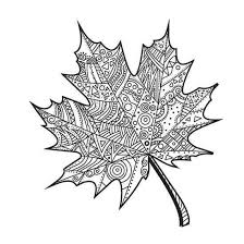 Pin Von Farago Auf Arte A Scuola Herbst Ausmalvorlagen Wenn Du Mal Buch Ausmalbilder