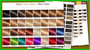 Refined Color Wheel Hair Chart Gallery Of Hair Color