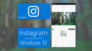 4 download instagram+ apk for android devices. Instagram For Pc Download Windows 10 8 7 Instagram App For Windows