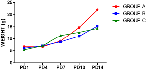 Lactational Nicotine Alters Pancreatic Histomorphology And