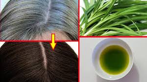 But it is not always possible that these options will be effective. White Hair To Black Permanently In 2 Weeks Naturally 100 Works At Home Youtube