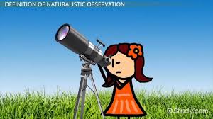 Maybe you would like to learn more about one of these? Naturalistic Observation Examples Definition Method Video Lesson Transcript Study Com