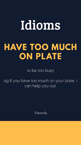 Have Too Much On Plate English Idiom English Idioms Idioms Idioms And Phrases