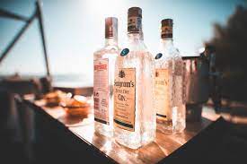 The information below is required for social login. Top 12 Best Gin Brands In India