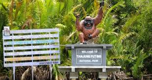 Saat itu, aku pergi ke jogja hari sabtu hari paling rame dan langsung ke terminal. 352 Tempat Wisata Di Kalimantan Tengah Yang Paling Menarik Dan Wajib Dikunjungi Tempat Me