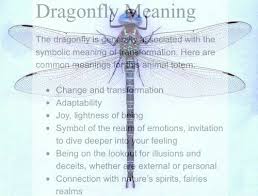 Short Meaning Dragonfly Symbolism Dragonfly Meaning Dragonfly Quotes