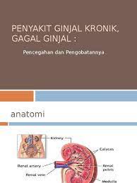 Defin definisi isi gagal ginjal kronik adalah suatu keadaan keadaan yang tidak akan bisa kembali kembali sembuh / baik. Penyakit Ginjal Kronik Ppt