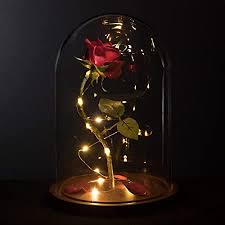 And what a gift this would be for a beauty & the beast fan! Amazon Com Magicprincesswhitney Made In Usa Enchanted Red Rose Life Sized 13 Led Beauty And The Beast Rose In Glass Dome Belle Wedding Valentine S Day Christmas Mother S Quinceanera Magic Princess Whitney Kitchen Dining