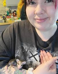 Adorable opossum photos and experiences