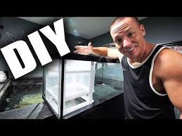 You may know me as joey mullen, the king of diy, uarujoey or the diy fishkeeper. Cheap And Easy Diy Aquarium Filter Sump