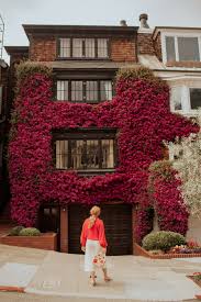 Send flowers and gifts locally with san diego flower delivery from with san diego flower delivery, we make the selection process easy. Where To Find The Bougainvillea House In San Francisco