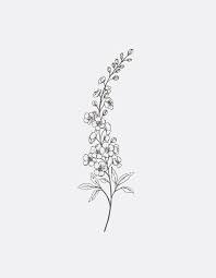 Pin On Tattoo Inspo