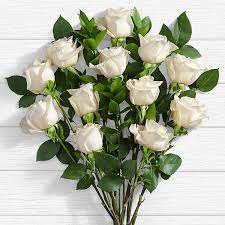 All images and logos are crafted with great workmanship. 10 Long Stemmed White Roses White Roses Delivery Pakistan Proflowers Pk