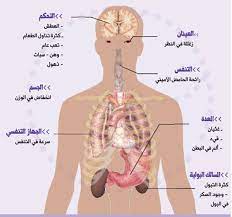 التنسيق الهرموني جدول الغدد الصماء والهرمونات التي تفرزها. Ù…Ø§Ù‡ÙŠ Ø¬Ù…Ø§Ø¹Ø© Ø§Ù„Ø¨ÙŠØ¦Ø© ÙˆØ§Ù„Ø³ÙƒØ§Ù† Ø¨Ù…Ø¯Ø±Ø³Ø© Ø§Ù„Ø³Ù„Ø§Ù… Ø¹ Ø¨Ù†Ø§Øª Facebook