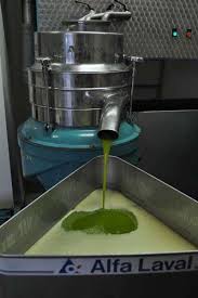 Olive Oil Lato Fields Estate