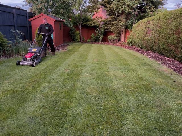 Gardener finishing a spring bedding display in Bexleyheath