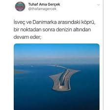 bilgi mystery rose bilgi alintilari gizli bilgi bilgi