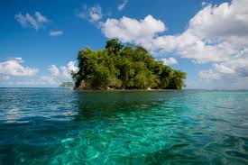 We did not find results for: Monkey Island