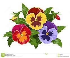 Yellow Pansy Flower With Leaves And Bud Pansies Flowers Flower Drawing Flower Clipart