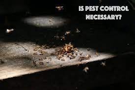 Check spelling or type a new query. Is Pest Control Necessary My Experience And Conclusion School Of Bugs