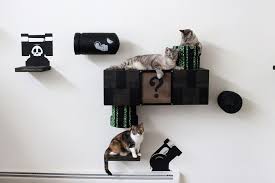 We Turned Our Room Into A Mario Cat World Super Mario Cat Cat Playground Cat Wall Shelves