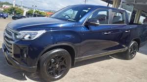 Image result for Touchan Blue 1993 SsangYong