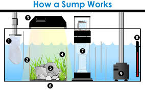 Water Is Drained From The Display Tank Through A Filter Sock To Remove Food Detritus Organic Waste Dust And Aquarium Sump Saltwater Fish Tanks Reef Aquarium