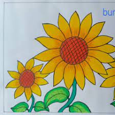 Cara mewarnai lukisan bunga matahari terbaru. Ilmu Pengetahuan 1 Mewarnai Bunga Dengan Crayon