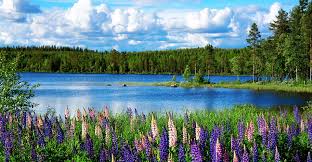 Finde fotos von landschaft schweden. Schweden Reisetipps Nutzliches Reisewissen Von A Bis Z