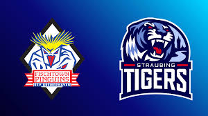 Eishockey schauen im TV oder Stream