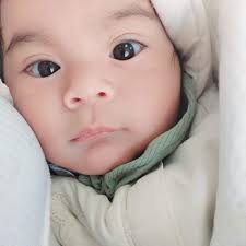 Pide Shell Helix HX8! El aceite 100% sintético que protege y limpia para  darle más vida a tu motor 💪 #lubricantesshellperu #lubricantesdemotor  #MayorProtección #pideshell